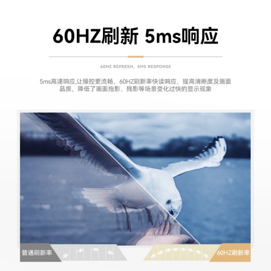 威普森（WINPSEN）19英寸显示器 LED高清监视器 家用办公工业安防监控电脑显示屏 HDMI+VGA接口 可壁挂