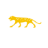 COOLSERVER