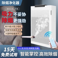 奥飞克棋牌室吸烟神器空气净化器麻将馆抽烟排烟器烟雾除烟味室内净化机